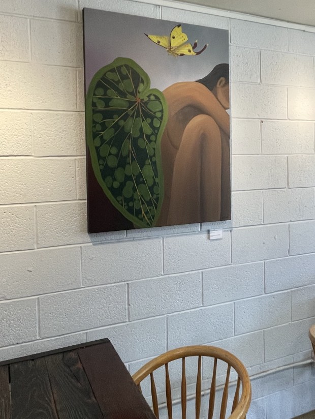 Petaluma Coffee Company has small rotating art shows on one dedicated "art wall" in its adjoining seating area, with local artists displaying their works on a monthly basis. (Carin Jacobs)