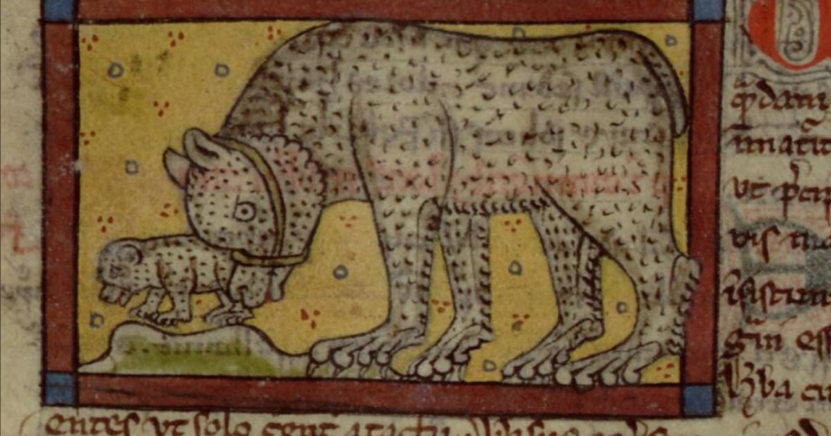 William the Conqueror conquered England, bringing this animal blood sport to his kingdom - CTV News