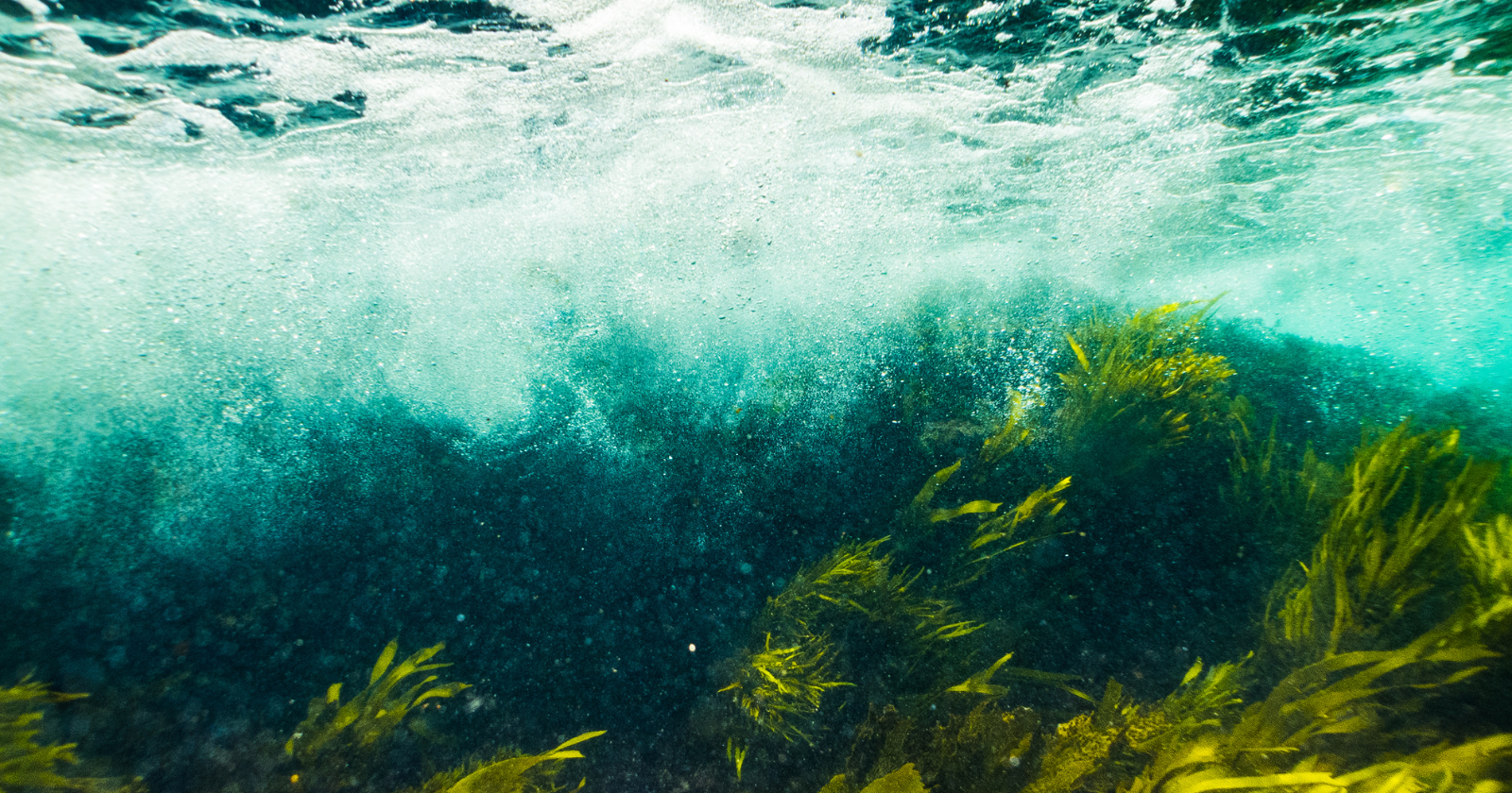 Between 1946 and 1970, the United States dumped roughly 47,800 containers of radioactive waste into the ocean west of San Francisco — many missed the designated sites, and the drums now lie scattered across about 1,400 square kilometers of seafloor, much of it inside a national marine sanctuary