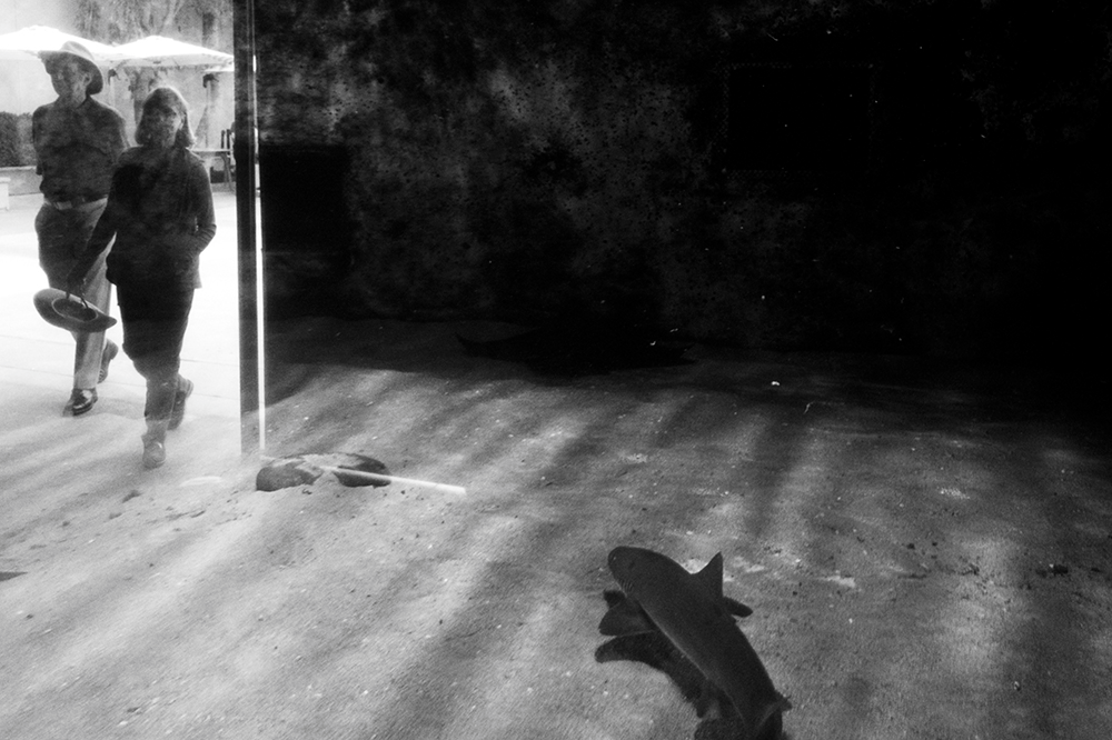 Provencio_Untitled#8