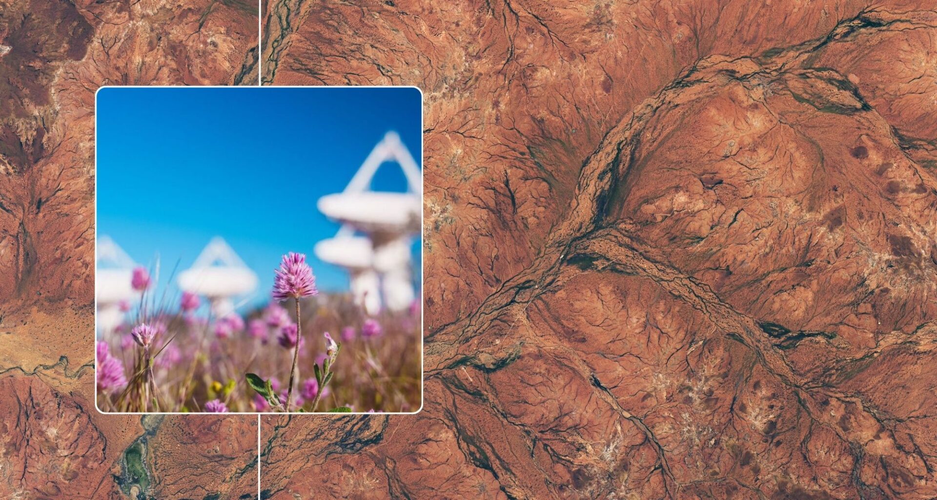 Satellites spy rare explosion of color in Australian desert photo of the day for Sept. 24, 2026