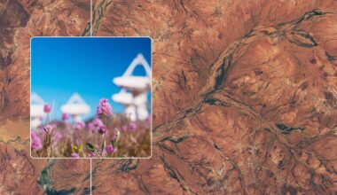 Satellites spy rare explosion of color in Australian desert photo of the day for Sept. 24, 2026