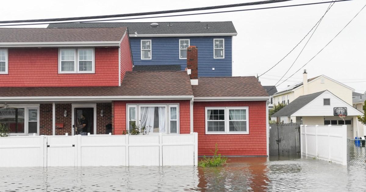 Shark 'spotted swimming' in driveways of flooded suburbs in fatal storm | News US