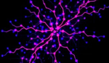 Single-cell maps reveal how enhancers regulate their target genes