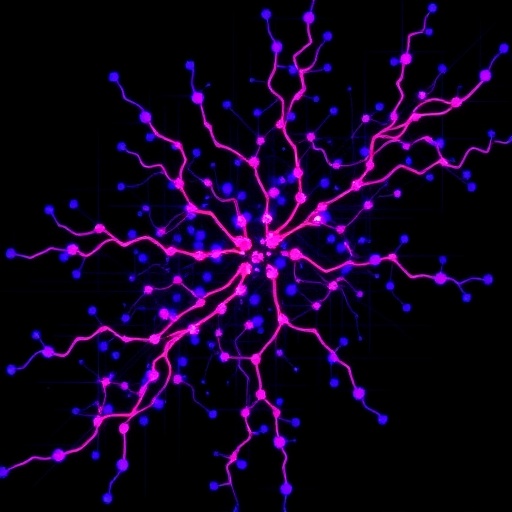 Single-cell maps reveal how enhancers regulate their target genes