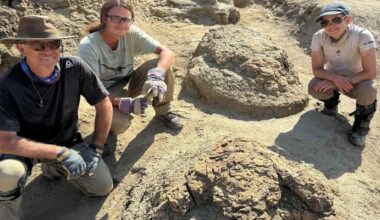 Massive Footprints Reveal First Ever Adult T Rex Trackway, a 66-Million-Year-old Walk Through North Dakota
