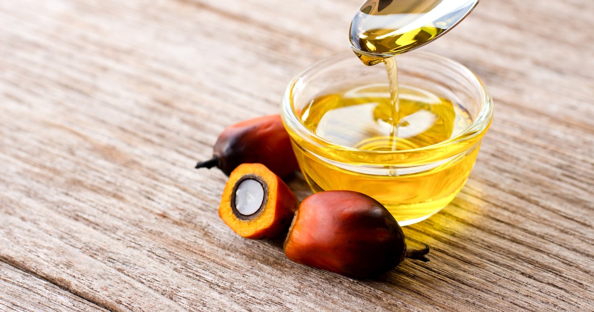 Malaysia's Phytogaia sets up grant to support local palm phytonutrient studies