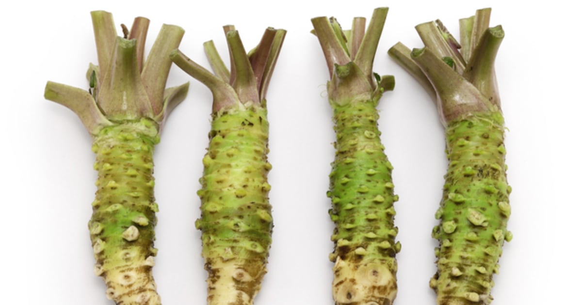 Exploring hexaraphane’s brain health potential with Dr. Wasabi