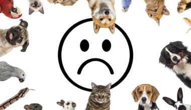 This Common Household Pet Was Linked to Mental Health Problems in Children