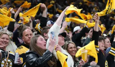 Bruins Top Prospect James Hagens Makes Loud Opening Statement image