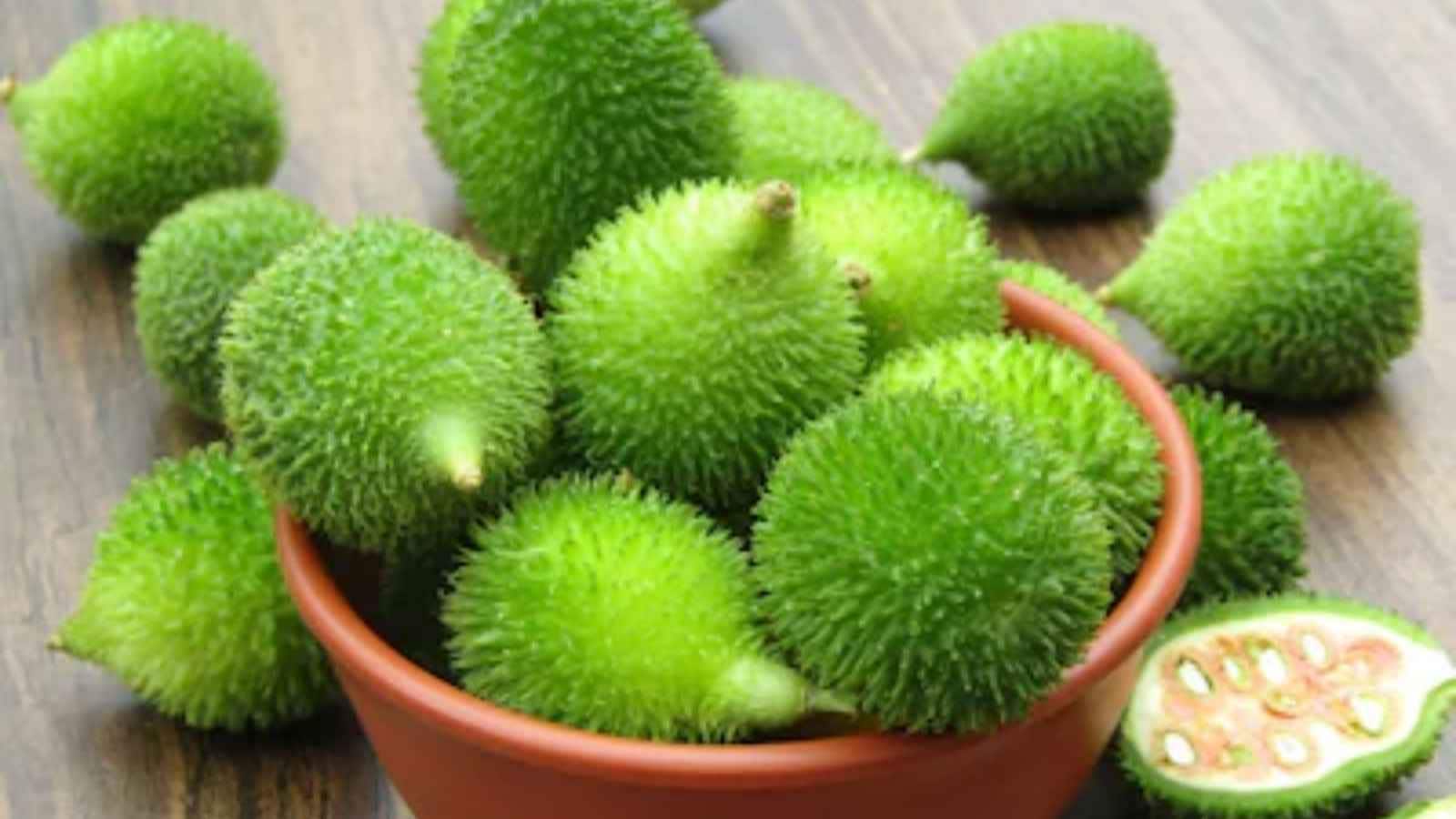 Why This Vegetable Is Available Briefly: Unlike vegetables sold throughout the year, bitter kakora appears in markets for only a short season. Its limited arrival increases demand among local consumers, who often look forward to the monsoon months to buy and prepare this traditional vegetable. Why This Vegetable Is Available Briefly: Unlike vegetables sold throughout the year, bitter kakora appears in markets for only a short season. Its limited arrival increases demand among local consumers, who often look forward to the monsoon months to buy and prepare this traditional vegetable.