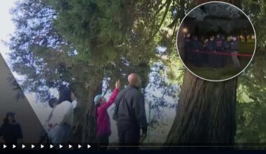Mountain lion sighted in San Francisco's Panhandle neighborhood