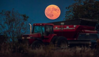 A true Harvest Moon! The Supermoon rises over a soybean harvest at Malkow Farms in Monroe, Wisconsin, 17 September 2024. Photo by Ross Harried/NurPhoto via Getty Images
