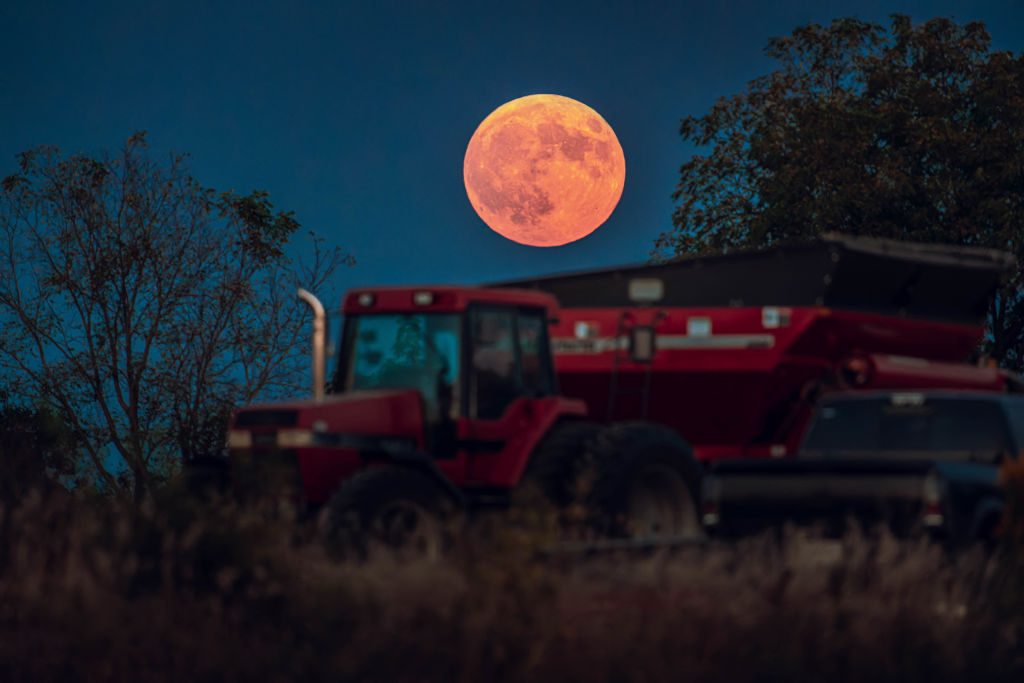 A true Harvest Moon! The Supermoon rises over a soybean harvest at Malkow Farms in Monroe, Wisconsin, 17 September 2024. Photo by Ross Harried/NurPhoto via Getty Images