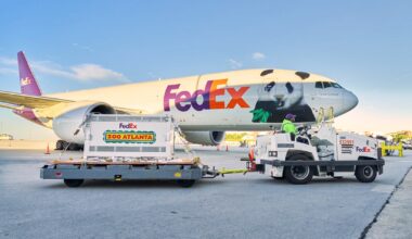 Giant pandas arrive in Atlanta as part of 10-year US-China agreement | Politics News