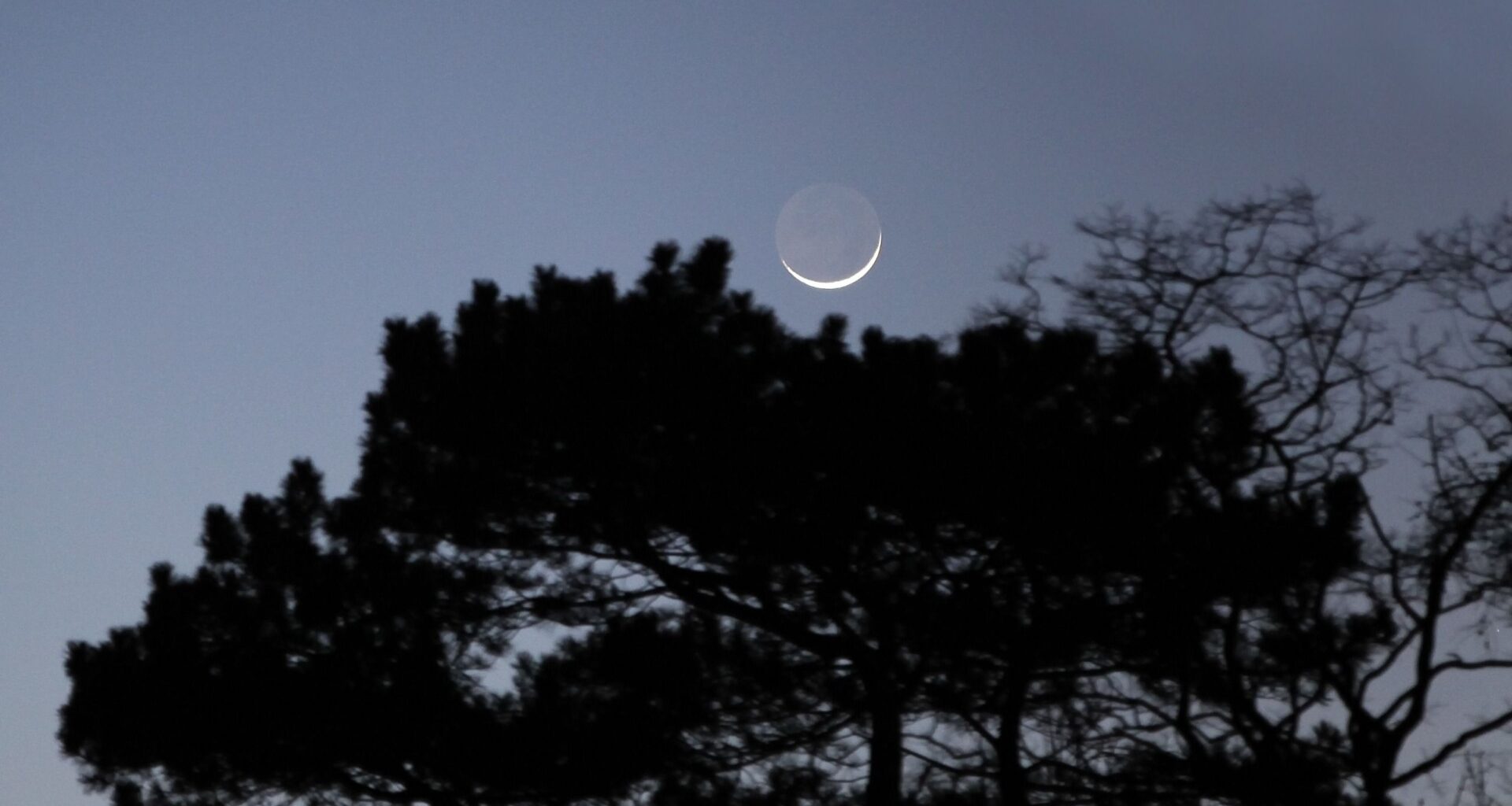 The moon will hide Jupiter in broad daylight on Sept.8 — here's how to see it
