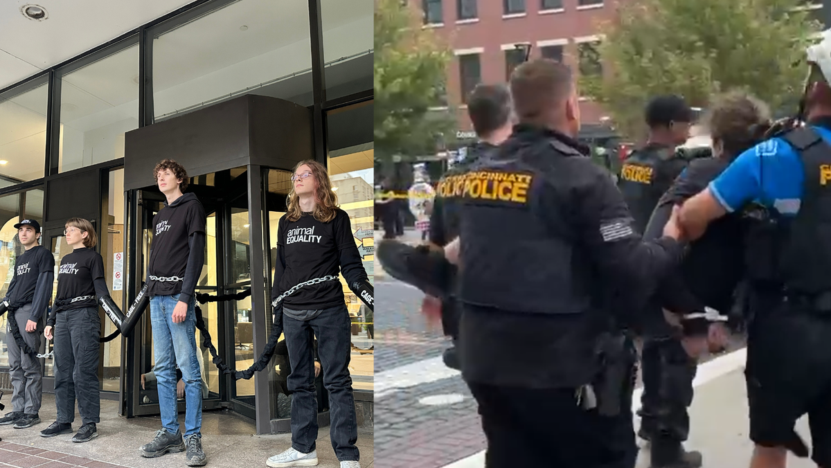 9 arrested after protesters chain themselves to Kroger headquarters