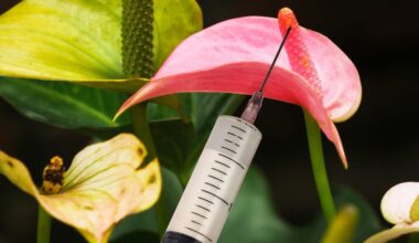 What Happens When Your Partner Gets Penis Filler?