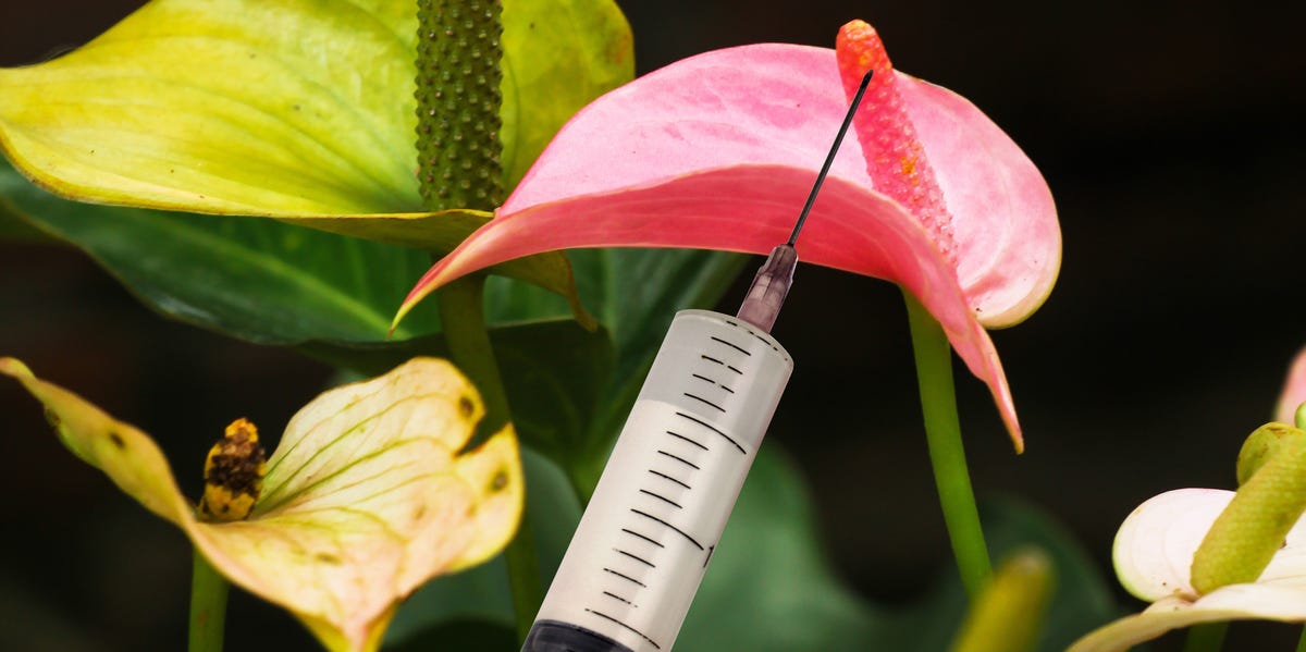 What Happens When Your Partner Gets Penis Filler?