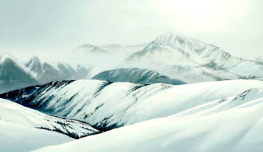 jesus mari lazkano traces changing landscapes through painting and film
