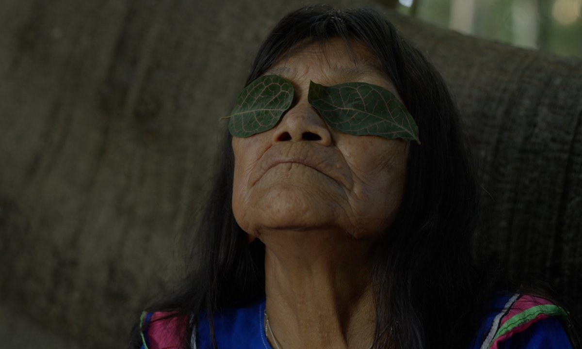 Documentary traces Sara Flores’s journey from the Amazon to the pinnacle of the art world - The Art Newspaper