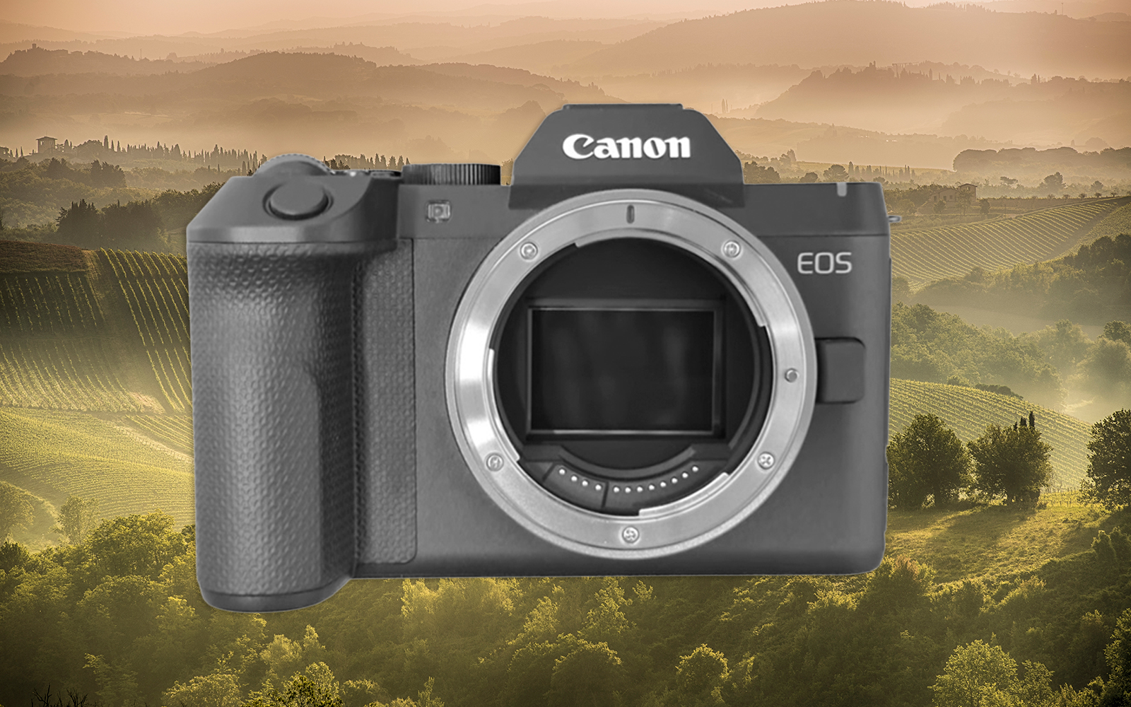 First Real Canon EOS R8 Mark II Images Surface Alongside Full Specs & Pricing