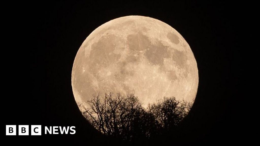 Five night sky events to look out for this autumn - BBC