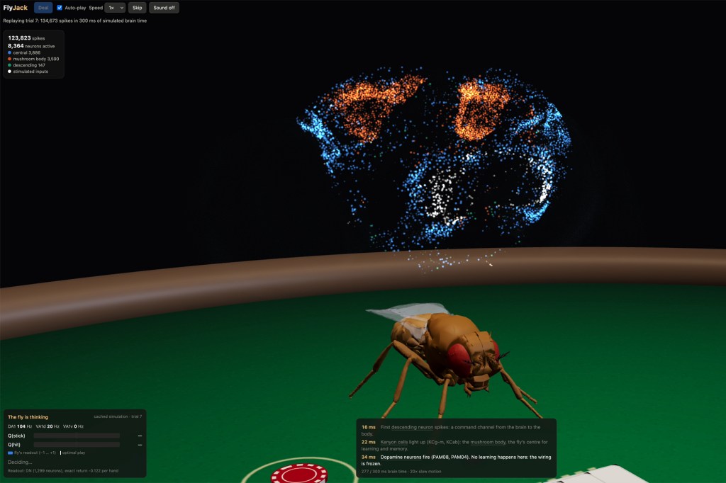 Illustration of a fruit fly simulation, where a 3D fruit fly sits on a green table like a blackjack table, with a visualization of neural activity above it.
