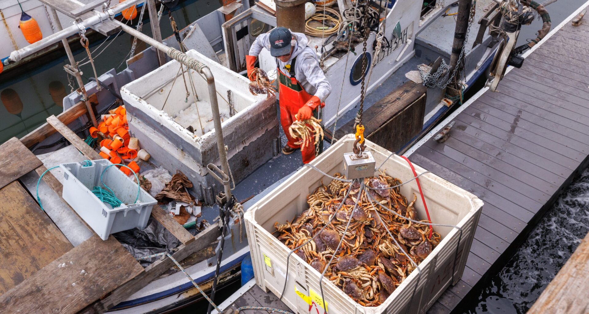 Monterey Bay’s fishing industry is changing: Here’s what Santa Cruz fishers are catching now
