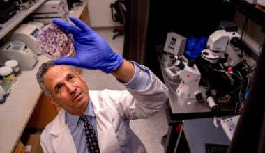 Artificial intelligence could help cure cancer