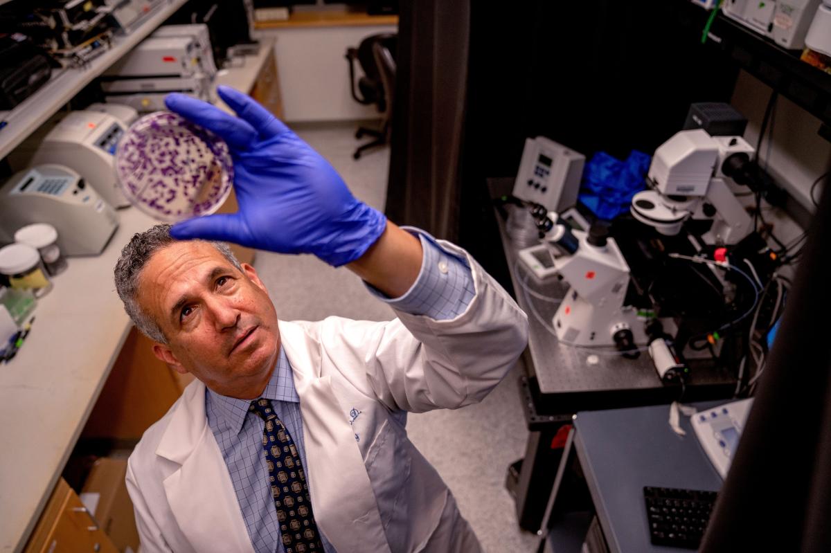Artificial intelligence could help cure cancer