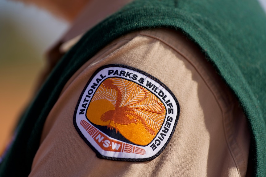 A NSW National Parks and Wildlife Service badge on a sleeve, with a lyrebird picture and an orange background.