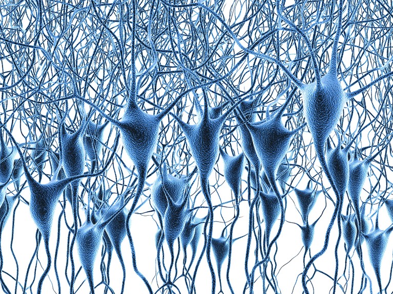 3D render of a dense network of neurons on a white background.