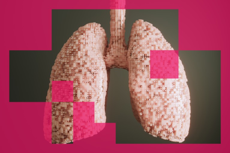 Digital generated human lung made of translucent light pink cubes.