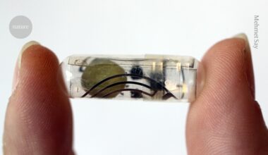 Edible batteries power medical devices in the body