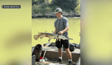 Trinity River gar hybrid caught by Texas teenager – NBC 5 Dallas-Fort Worth
