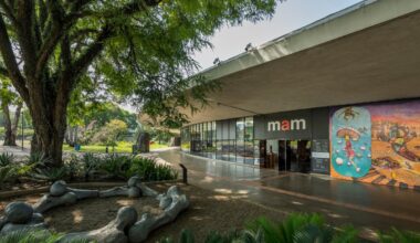 São Paulo’s Museu de Arte Moderna reopens after two-year renovation - The Art Newspaper