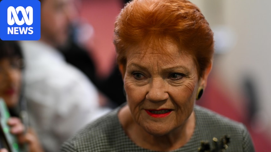 One Nation pushes for early super access for Australians paying rent or mortgage