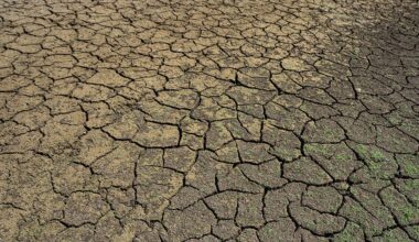 I’m Terrified of What Will Happen to This Country When We Run Out of Water