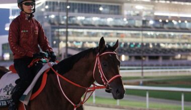Two scratches leave Forever Young an even shorter price in Jockey Club Gold Cup