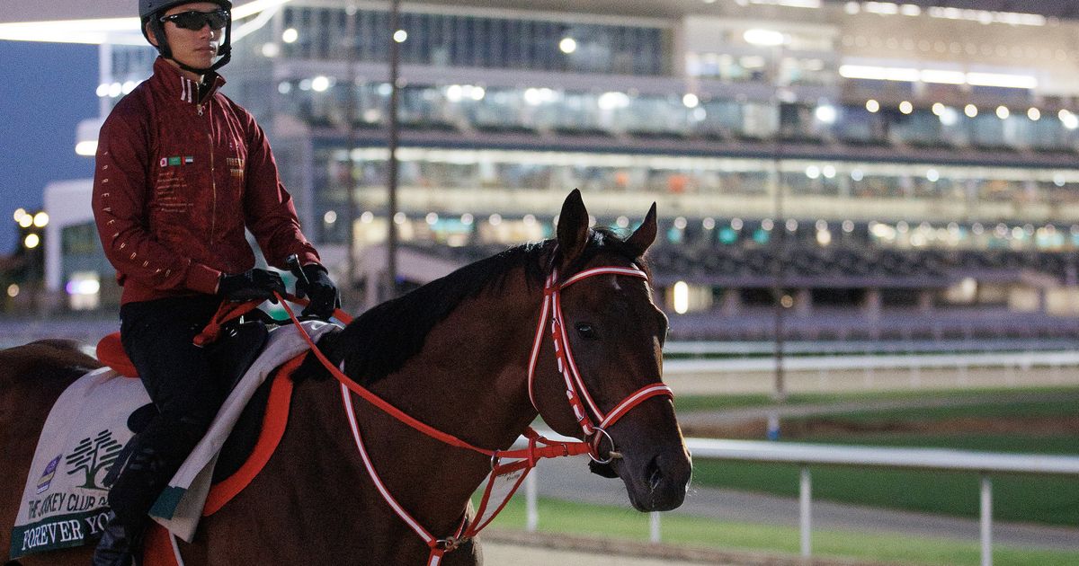 Two scratches leave Forever Young an even shorter price in Jockey Club Gold Cup