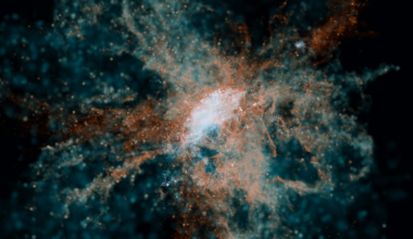 JWST finds early galaxies were already seeding the universe with heavy elements