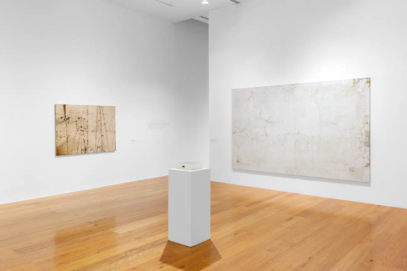 Installation View of Gabriel de la Mora's exhibition La Petite Mort at MARCO
