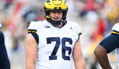 Everything you need to know about Michigan Football’s ‘Rhino’ position