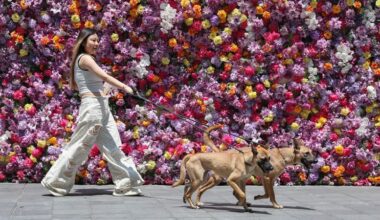 Karaoke for one: China’s $1 trillion ‘loneliness economy’ gives a glimpse of the world’s future