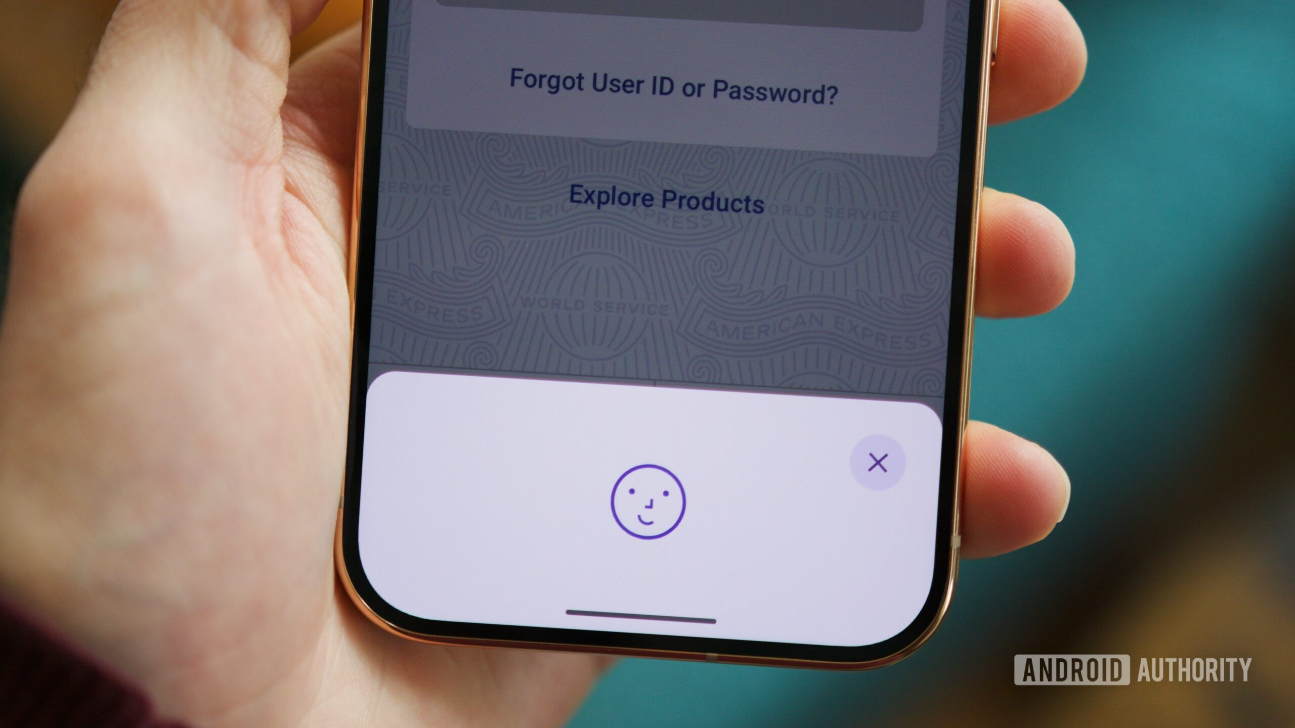Face Unlock prompt on the Google Pixel 11 Pro.