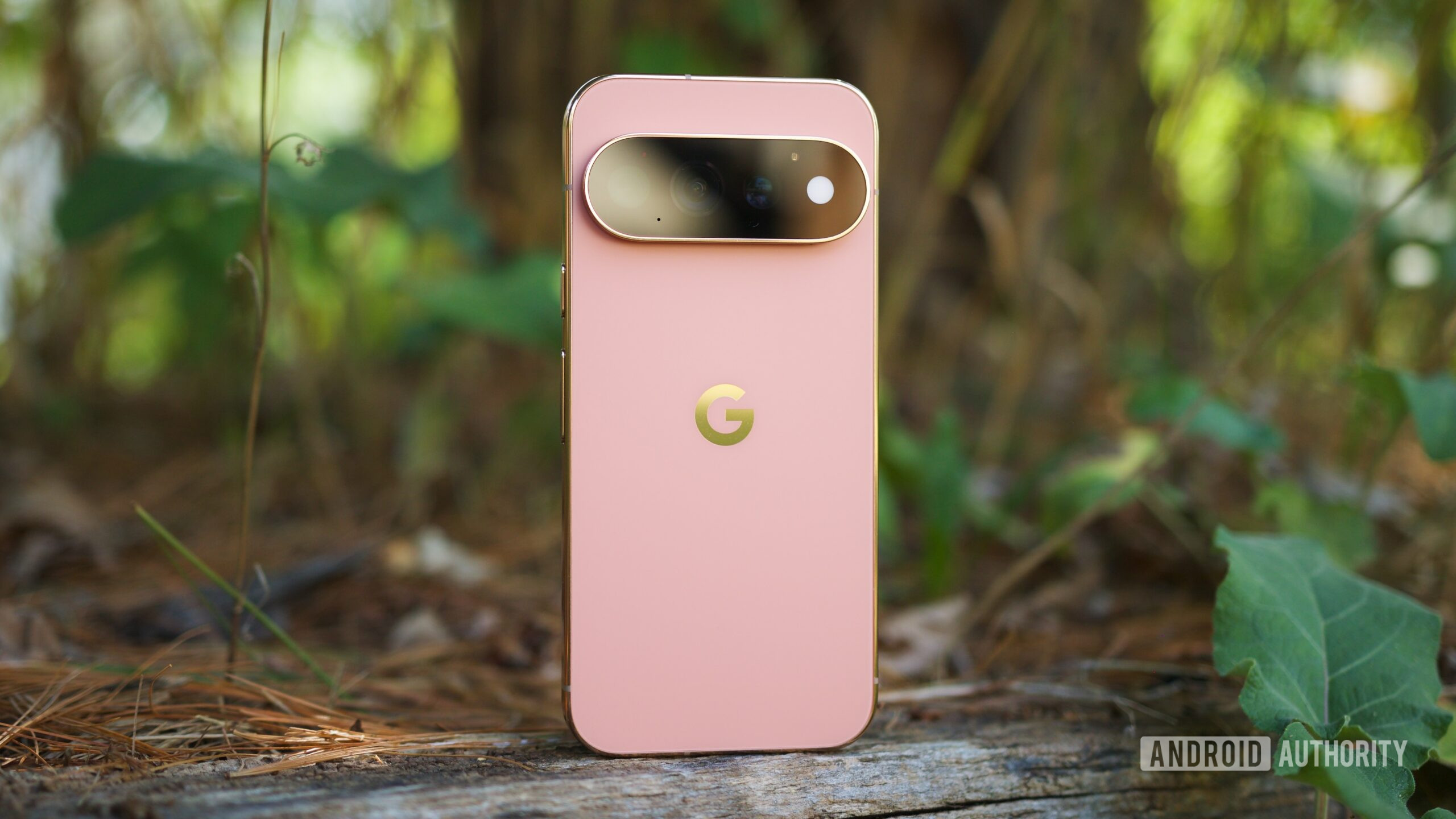 Canyon Pixel 11 Pro standing upright outside.