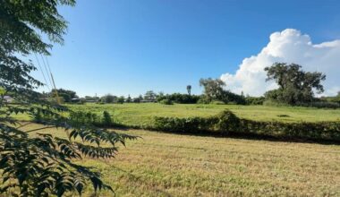 Sarasota County leaders consider purchase of old golf course