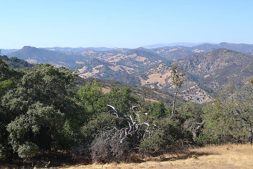 Oak woodland and grassy ridgelines in Henry W. Coe State Park.