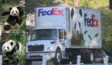 Giant pandas are home at Zoo Atlanta – WSB-TV Channel 2